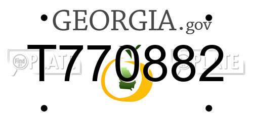 T770882 Georgia License Plate