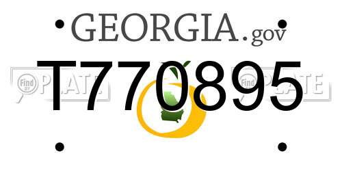 T770895 Georgia License Plate