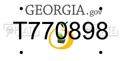 T770898 Georgia License Plate