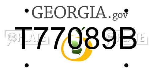 T77089B Georgia License Plate