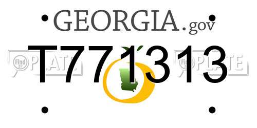 T771313 Georgia License Plate