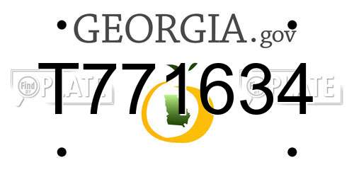 T771634 Georgia License Plate