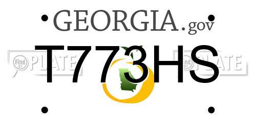 T773HS Georgia License Plate