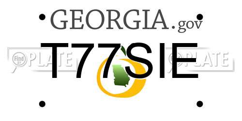 T77SIE Georgia License Plate
