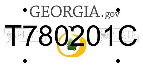 T780201C Georgia License Plate
