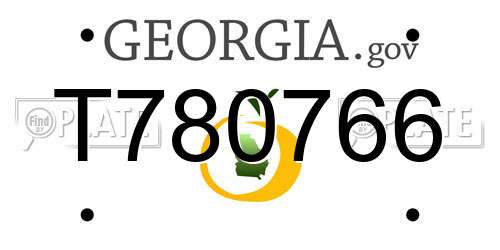 T780766 Georgia License Plate