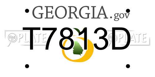 T7813D Georgia License Plate