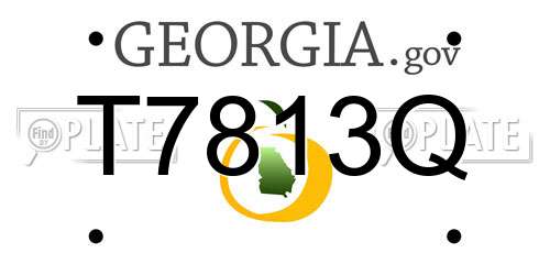 T7813Q Georgia License Plate