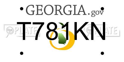 T781KN Georgia License Plate