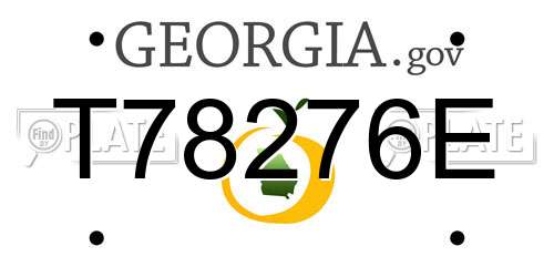 T78276E Georgia License Plate