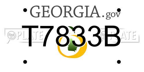 T7833B Georgia License Plate