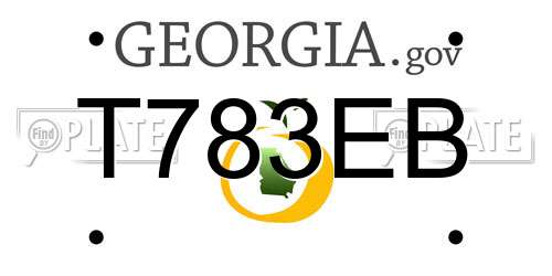 T783EB Georgia License Plate