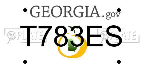 T783ES Georgia License Plate