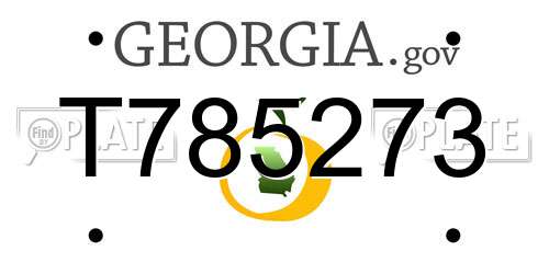 T785273 Georgia License Plate