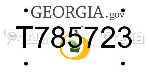 T785723 Georgia License Plate