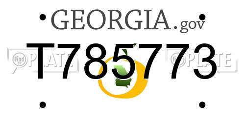 T785773 Georgia License Plate