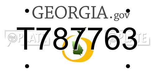 T787763 Georgia License Plate