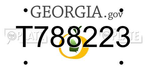 T788223 Georgia License Plate
