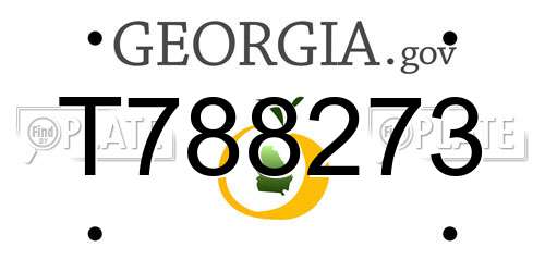 T788273 Georgia License Plate
