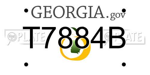 T7884B Georgia License Plate