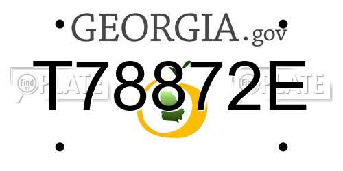 T78872E Georgia License Plate