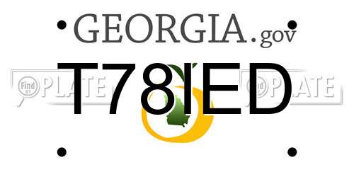 T78IED Georgia License Plate
