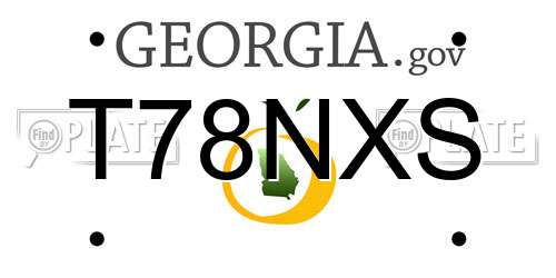 T78NXS Georgia License Plate