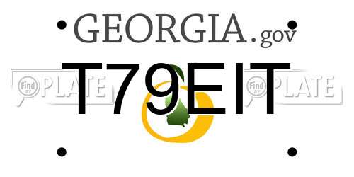 T79EIT Georgia License Plate