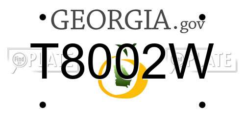 T8002W Georgia License Plate