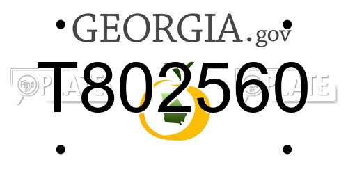 T802560 Georgia License Plate