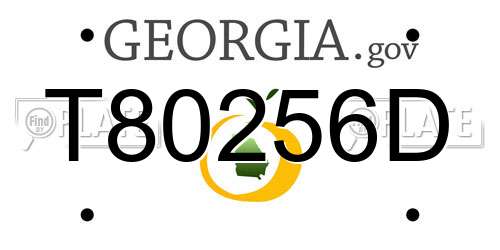 T80256D Georgia License Plate