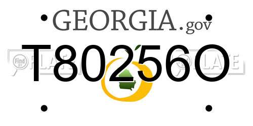 T80256O Georgia License Plate