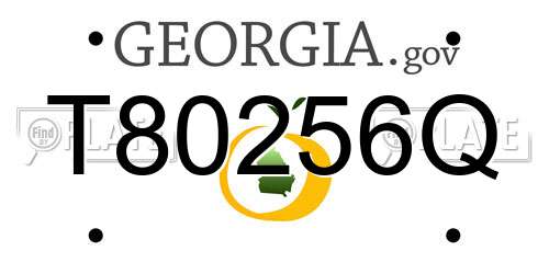 T80256Q Georgia License Plate