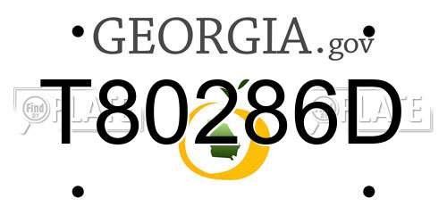 T80286D Georgia License Plate