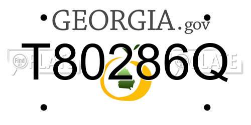 T80286Q Georgia License Plate