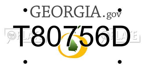 T80756D Georgia License Plate