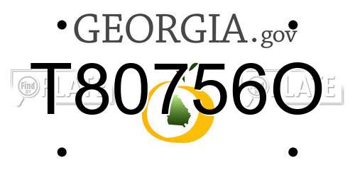 T80756O Georgia License Plate