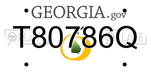 T80786Q Georgia License Plate