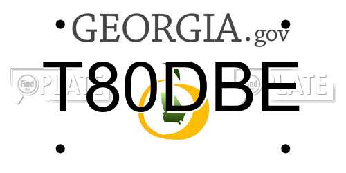 T80DBE Georgia License Plate