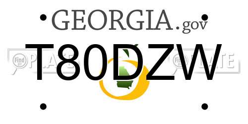 T80DZW Georgia License Plate