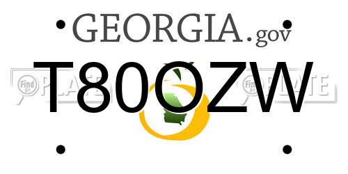 T80OZW Georgia License Plate