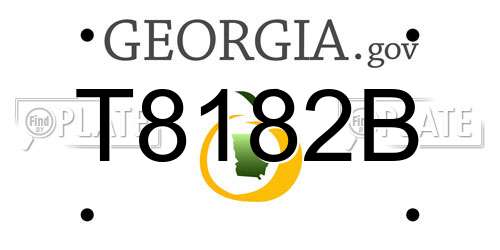 T8182B Georgia License Plate