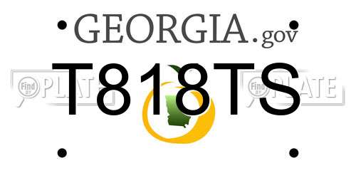 T818TS Georgia License Plate