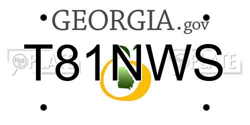 T81NWS Georgia License Plate