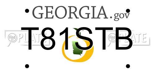 T81STB Georgia License Plate
