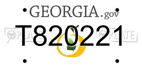 T820221 Georgia License Plate