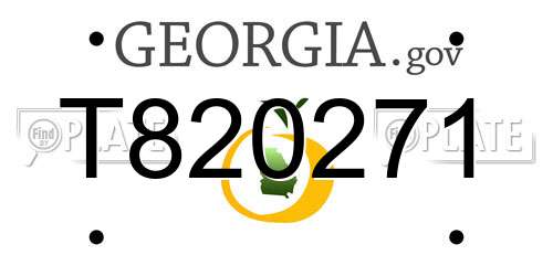 T820271 Georgia License Plate