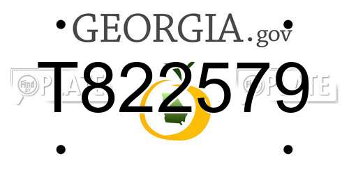 T822579 Georgia License Plate
