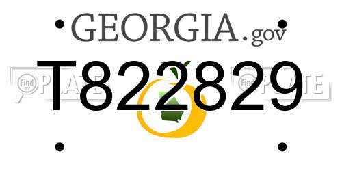T822829 Georgia License Plate