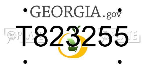T823255 Georgia License Plate
